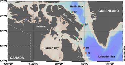 Amino acid δ13C and δ15N fingerprinting of sea ice and pelagic algae in Canadian Arctic and Subarctic Seas